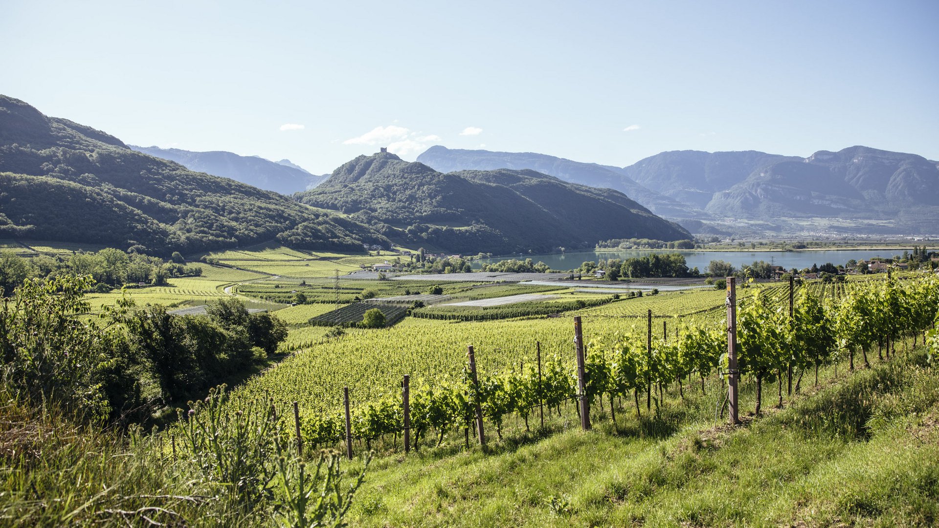 Cose da vedere in Alto Adige, vicino al Gartenhotel Moser