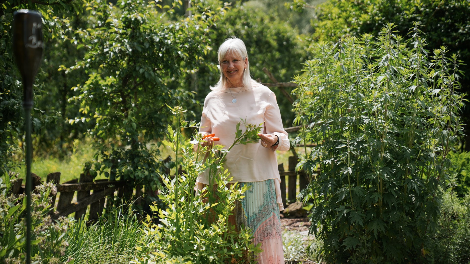 Hotels bei Eppan: Gartenhotel Moser Ältere Frau pflegt Pflanzen in einem grünen Garten bei Sonnenschein