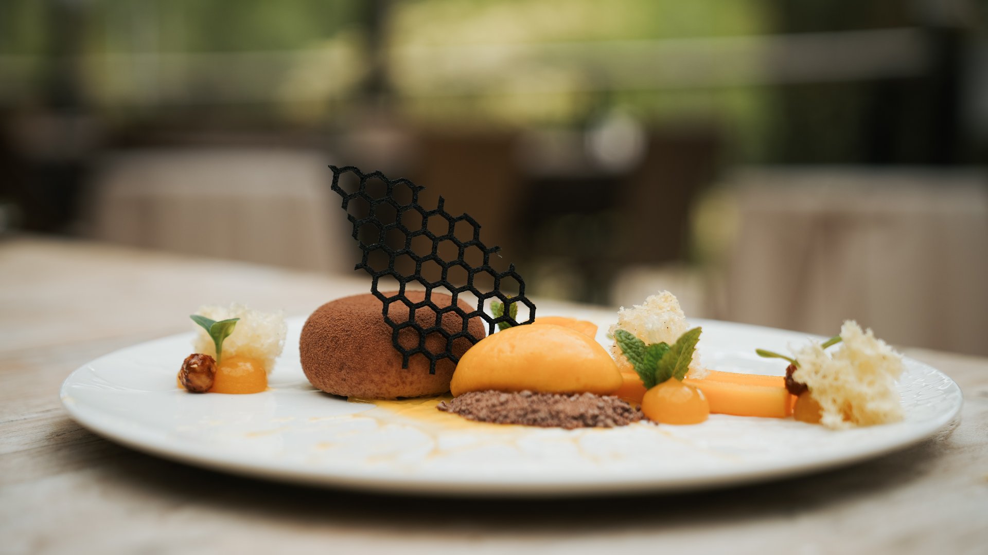 Wellness hotel with gourmet cuisine: Gartenhotel Moser Delicately plated dessert with chocolate and orange sorbet on white plate