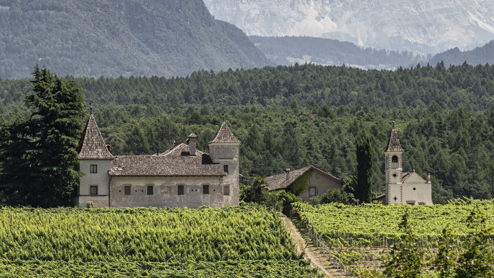 Kalterer See – Hotel in der Nähe Weinberge mit historischem Schloss und Kirche vor Bergen unter bewölktem Himmel