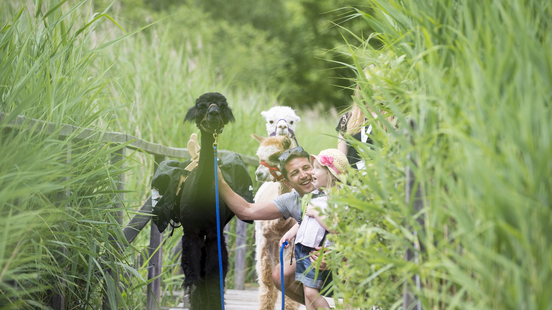 Kinderhotel am See: Gartenhotel Moser Mann und Kind mit zwei Alpakas auf einem Holzweg im Grünen