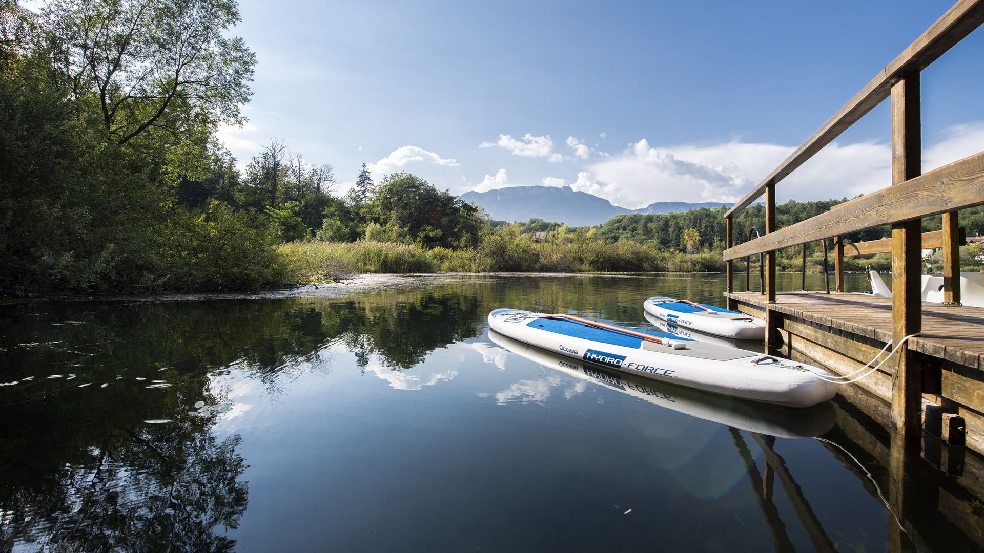 Wellnessurlaub am See: Gartenhotel Moser