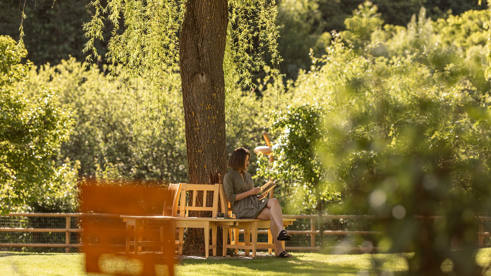 Montiggler See: Hotel mit einem Herz für die Umwelt Frau liest auf einer Bank im sonnigen Park unter einem Baum
