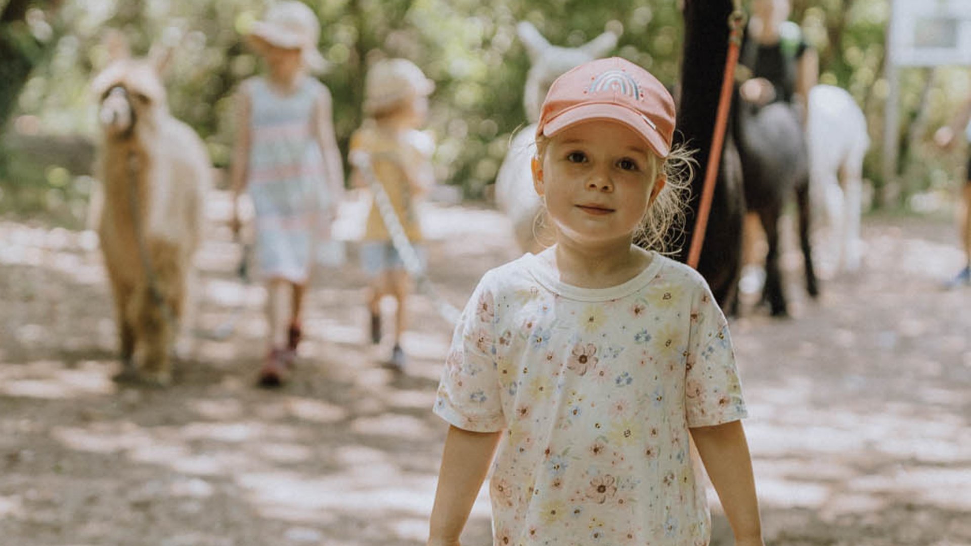Bambino cammina con alpaca su sentiero ombreggiato nel bosco