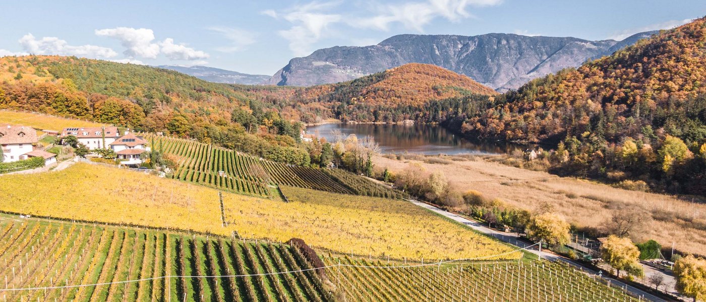 Hotel on the Wine Road in South Tyrol Autumn vineyards with hills, lake, and mountains in the background