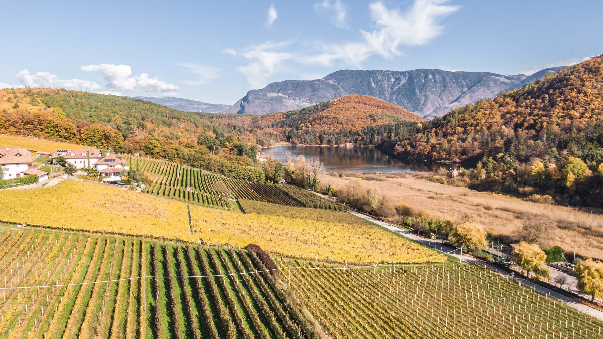 Hotel sulla Strada del Vino in Alto Adige: Gartenhotel Moser Vigneti autunnali con colline, lago e montagne sullo sfondo