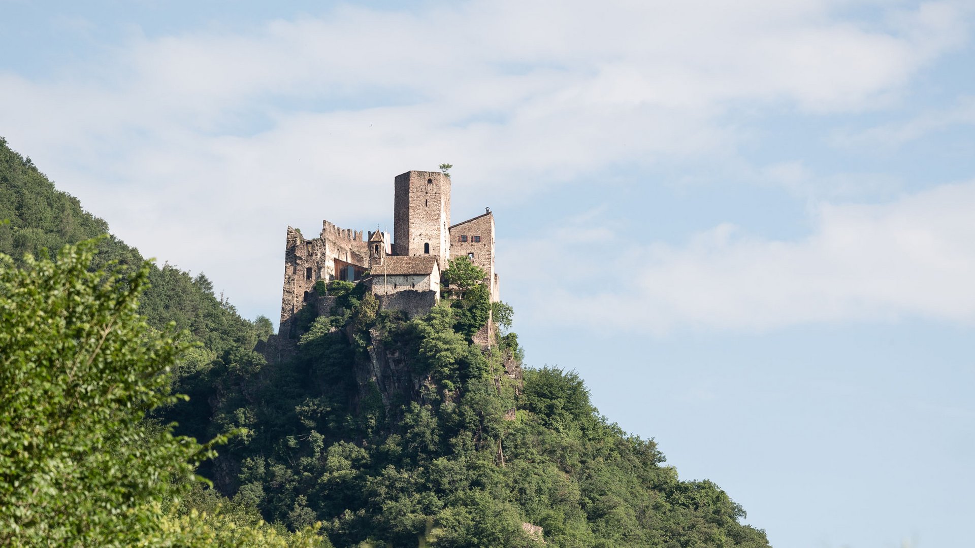 Kalterer See – Hotel in der Nähe Burg auf bewaldetem Hügel mit Weinfeldern und Blumen im Vordergrund