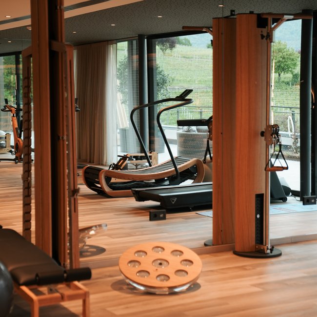 Sporthotels in Südtirol: Gartenhotel Moser Innenansicht eines modernen Fitnessraums mit Geräten und großen Fenstern