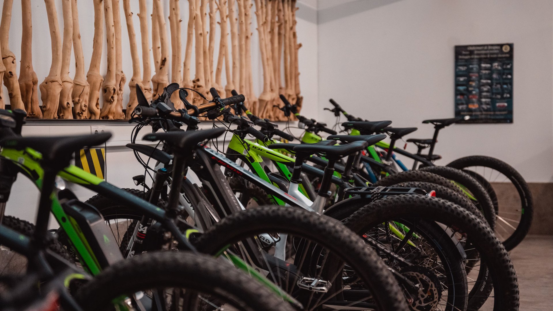 Hotels in Kaltern am See und Umgebung: Biken Mehrere Mountainbikes in einer Reihe vor einer Wand mit Knochenmodellen