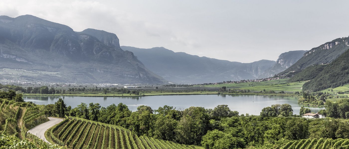 Lago di Caldaro: passeggiata e varie attività nei dintorni del Gartenhotel Moser Vigneto con lago e montagne sullo sfondo