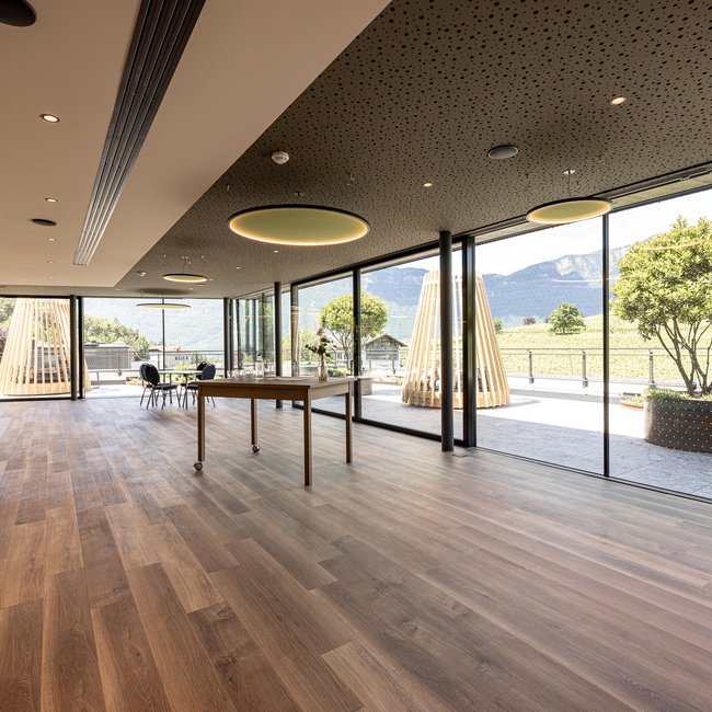 Neu ab 2024 im Gartenhotel Moser Moderner heller Raum mit Holzfußboden und großen Glasfenstern mit Außenblick