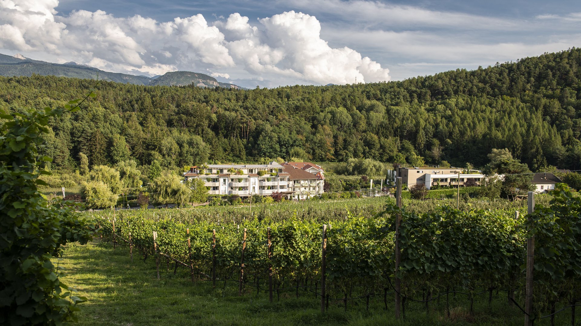 Hotel ad Appiano sulla Strada del Vino: il Gartenhotel Moser