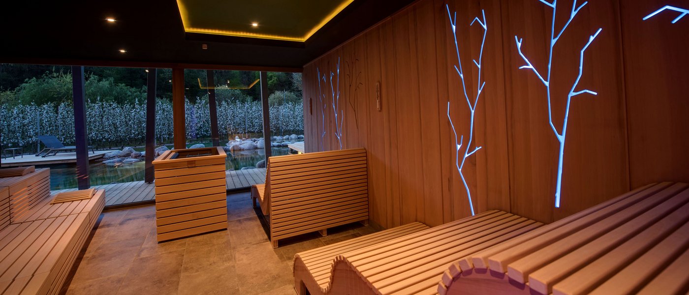 Wellness hotel with whirlpool and sauna world Modern sauna room with wooden loungers and blue tree-shaped light accents