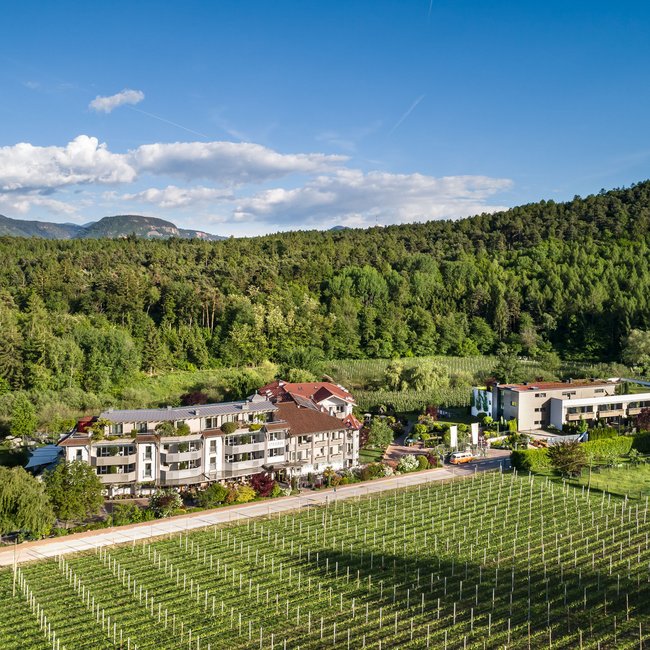 Un hotel senza glutine in Alto Adige: il Gartenhotel Moser Hotel e vigneti davanti a colline boschive con cielo azzurro