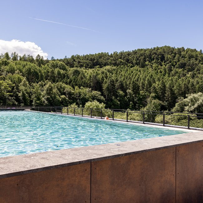 Neu ab 2024 im Gartenhotel Moser Außenpool mit Blick auf bewaldeten Hügel und blauen Himmel